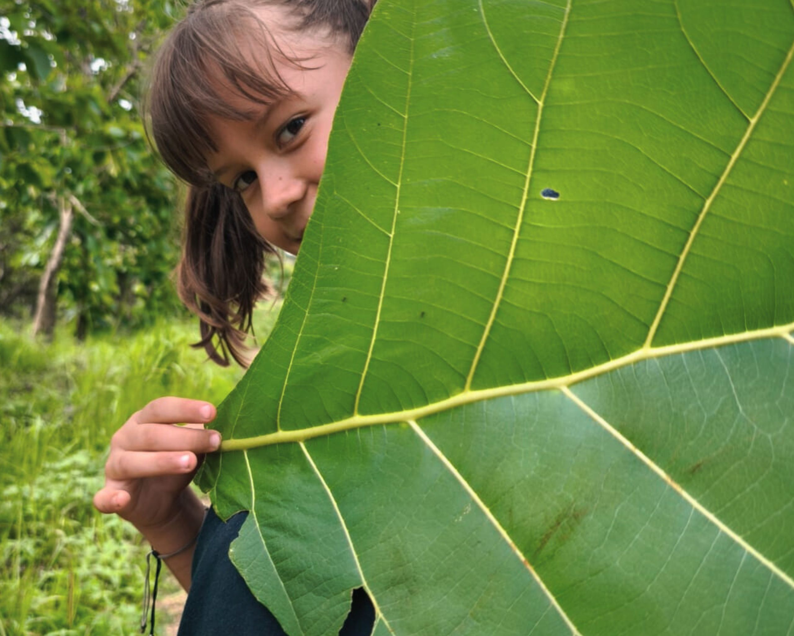 Children in nature
